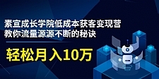 素宣成长学院低成本获客变现营，教你流量源源不断的秘诀，轻松月入10万